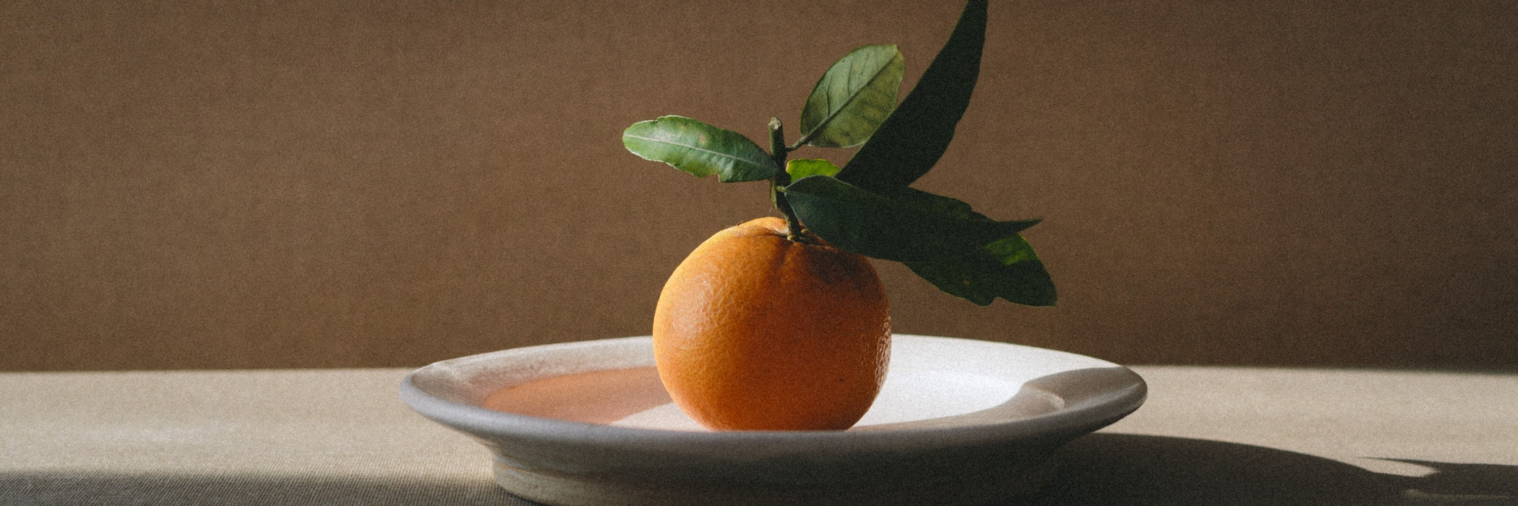 Discover Citrus