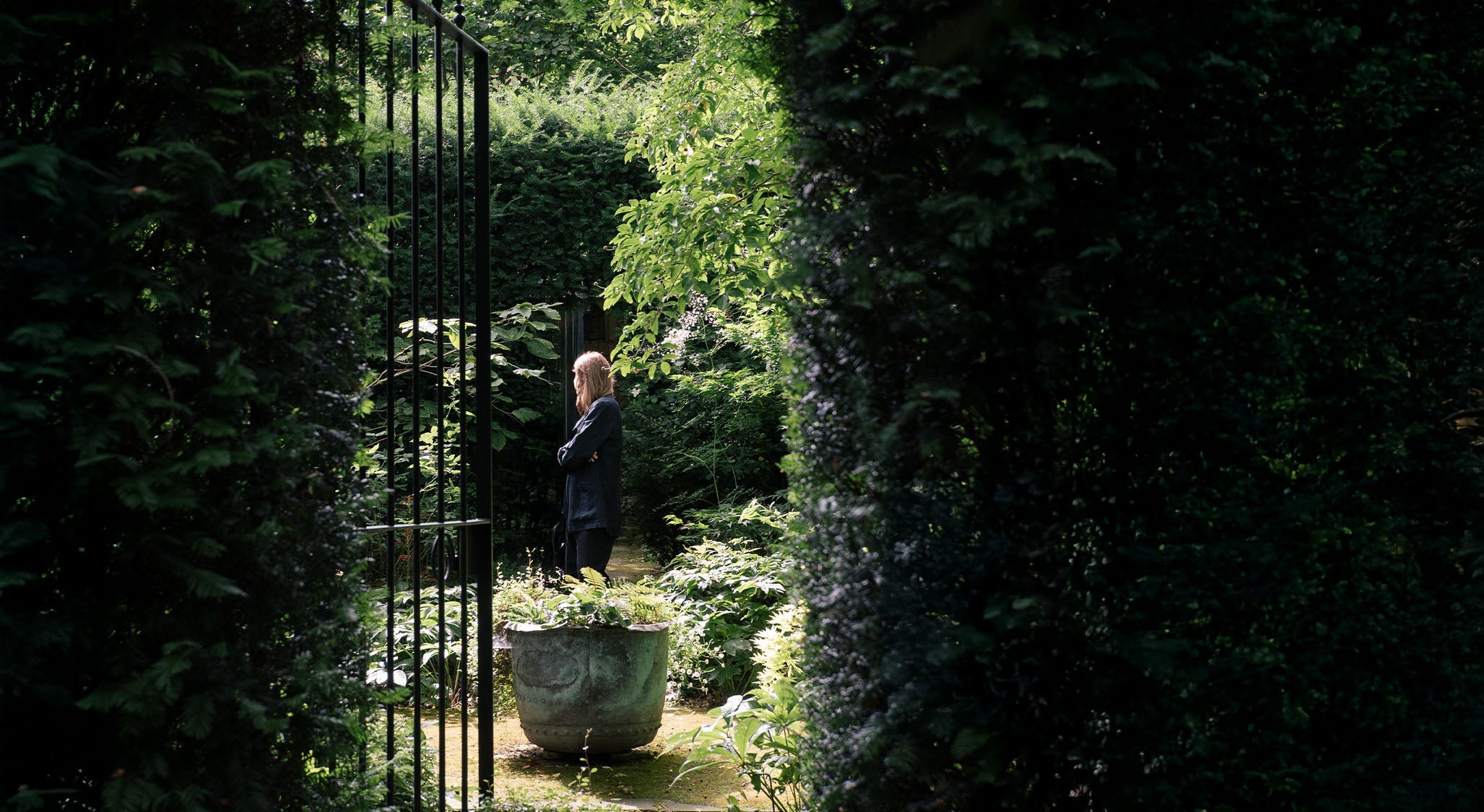 Into The Garden