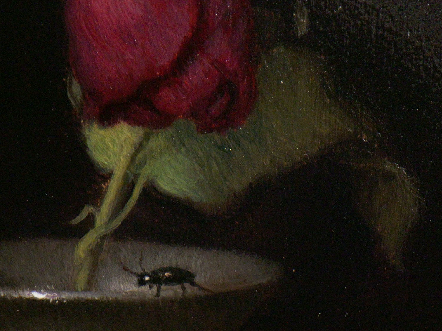 A Painted Life: Rose With Insect