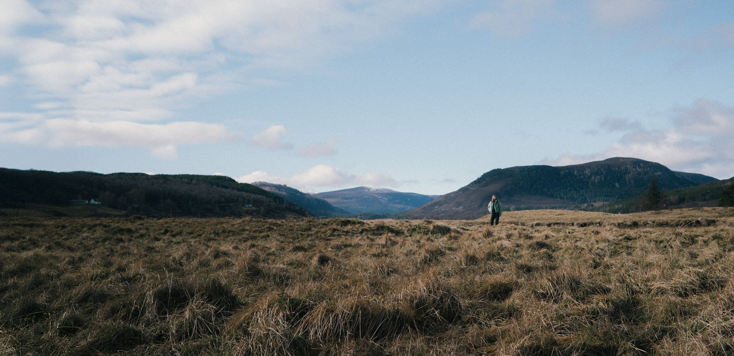 Rain Wood Collection