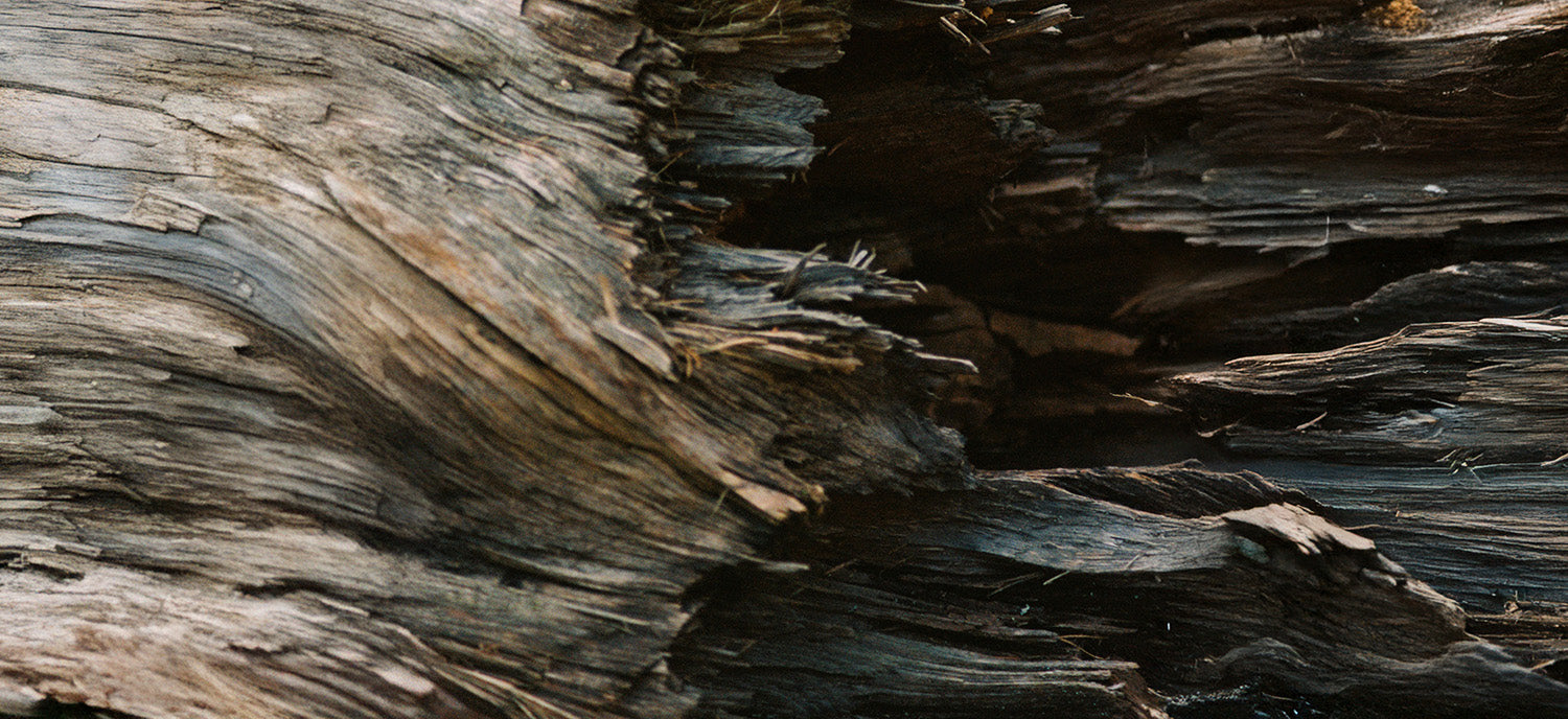 Wood Perfume