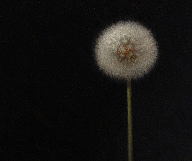 Dandelion 100ml オードパルファム – Perfumer H