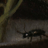 ローズ・ウィズ・インセクト ダブルウィック・ハンドブロー・キャンドル