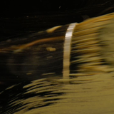 ベルガモット リミテッドエディション 50ml オードパルファム