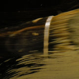 鳥とレモンの香りのカード