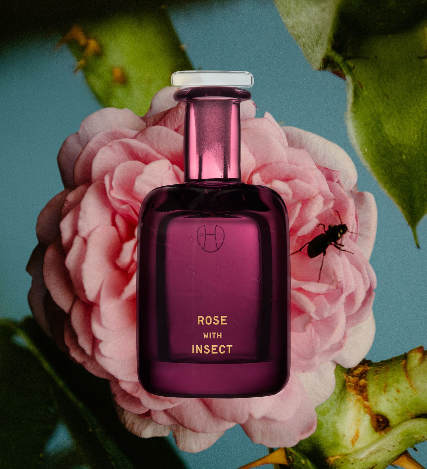 Perfumer H Rose Pink 50ml パフューマーH Rose With Insect – Perfumer H