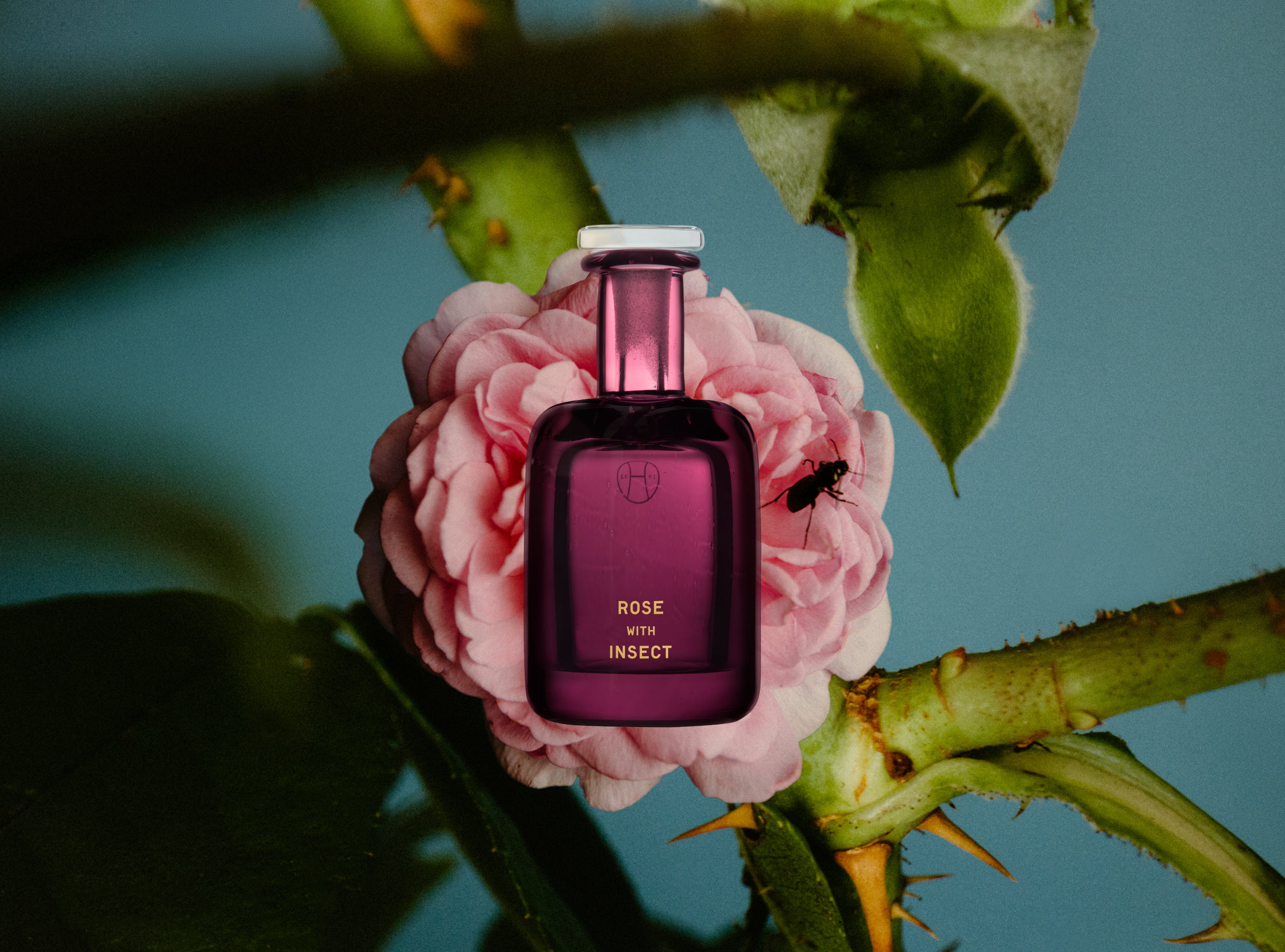 香水(ユニセックス) PERFUMER H Bergamot Eau de Parfum 50ml PERFUMER H BERGAMOT EAU DE PARFUM — EWANIKA