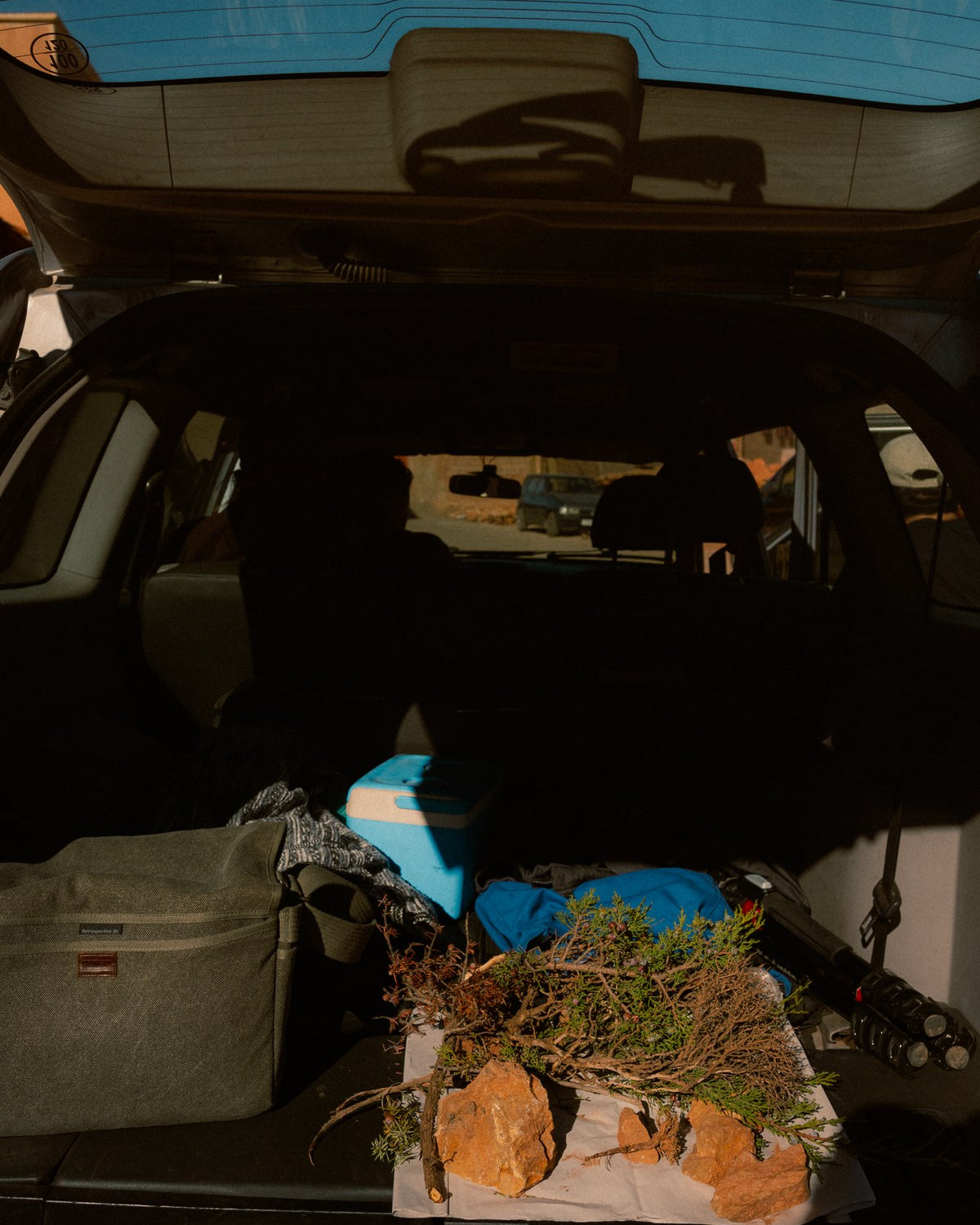 Cut juniper and raw ochre rock in the back of the car