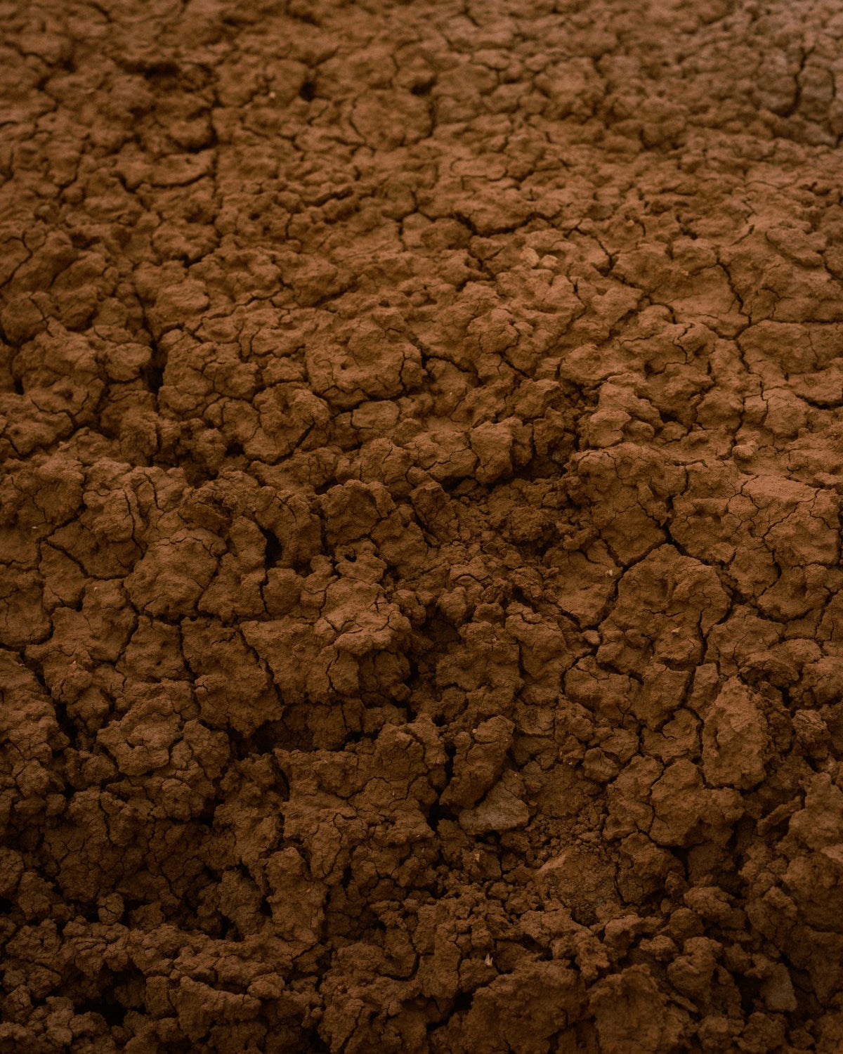 Cracked and crumbled red clay