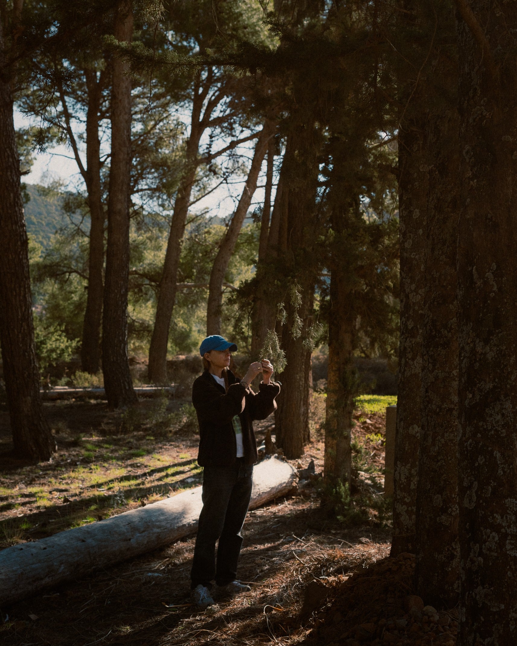 Lyn Harris in a backlit pine wood