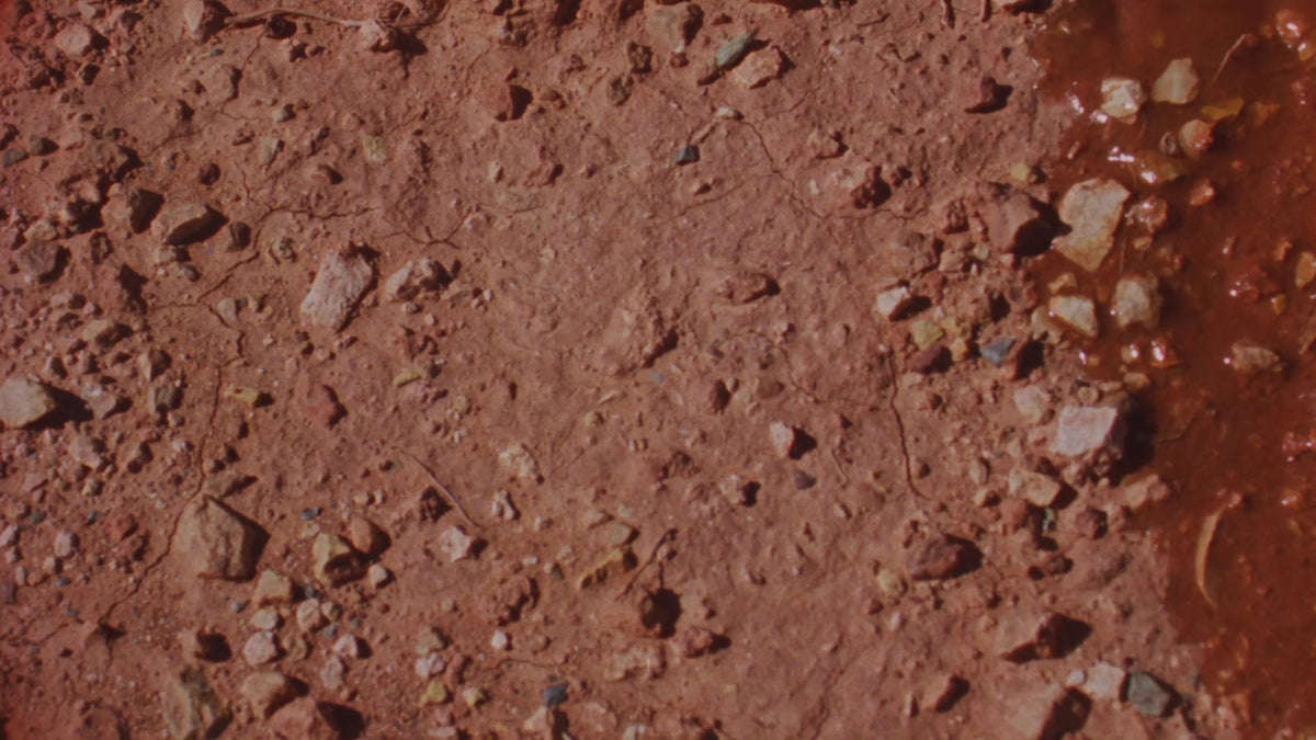 CLAY hero, silent loop, 1080p web encode