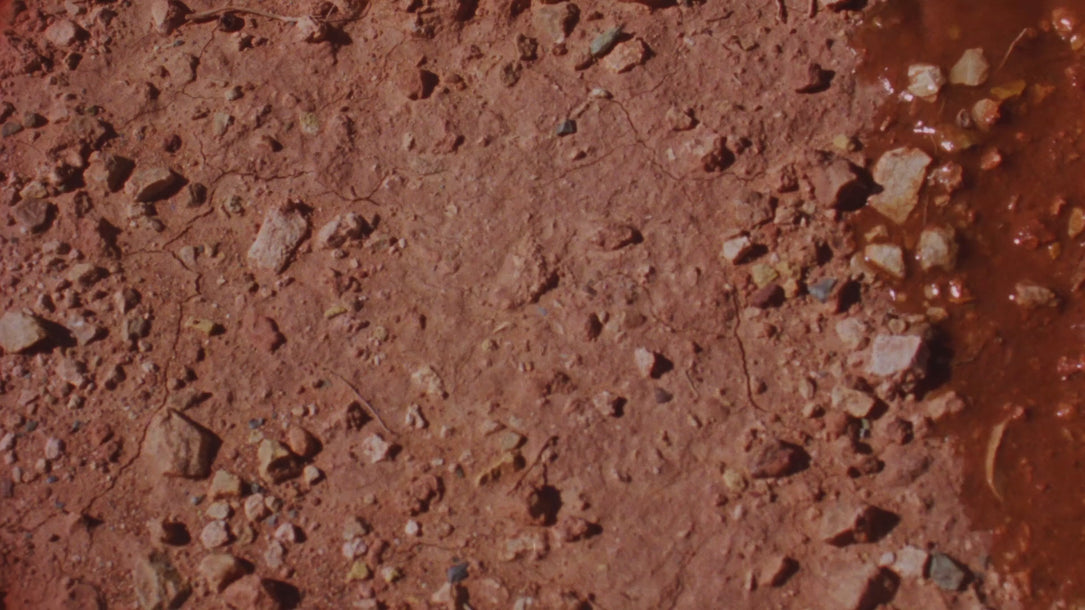 CLAY hero, silent loop, 1080p web encode