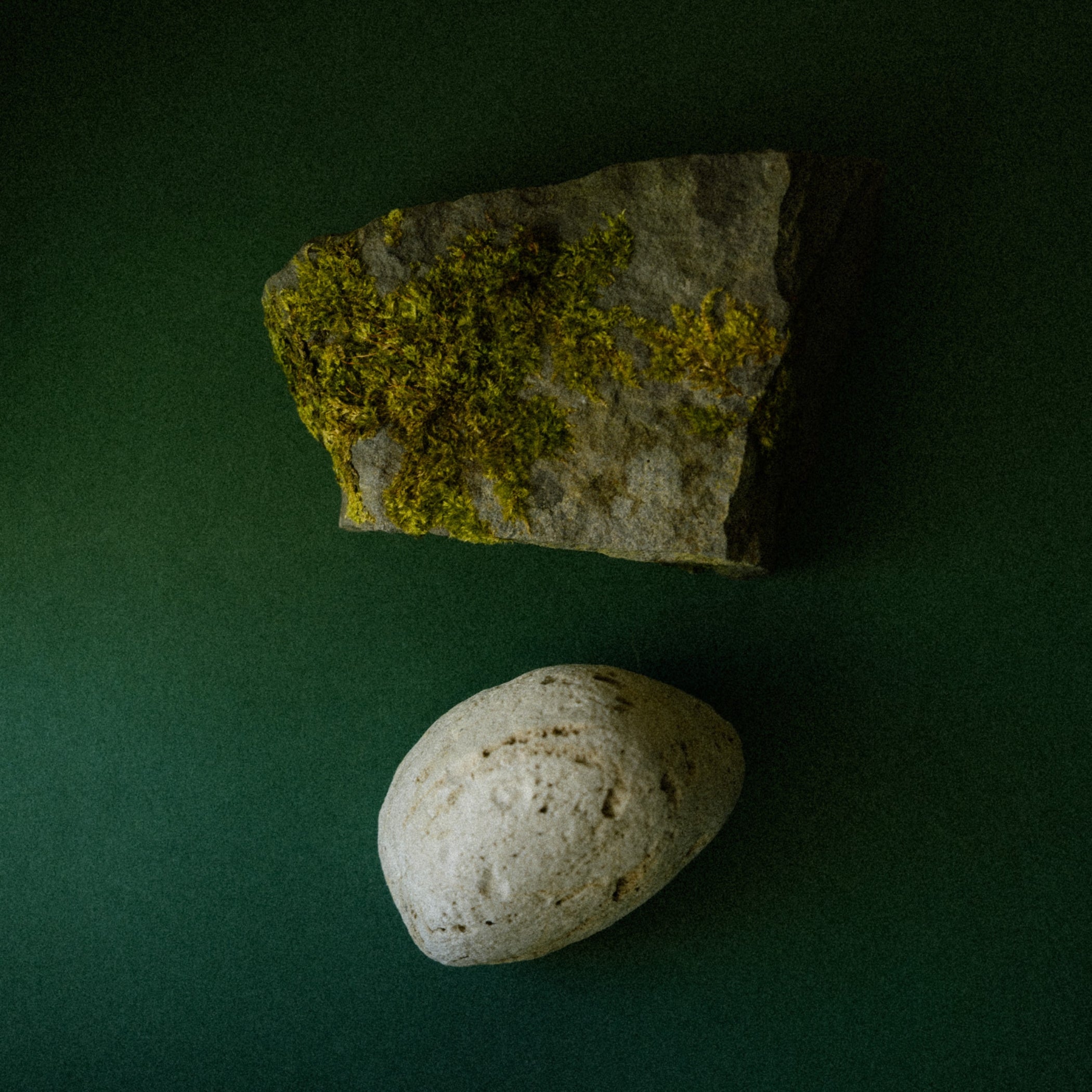 A moss-covered stone slab beside a smooth pale river pebble
